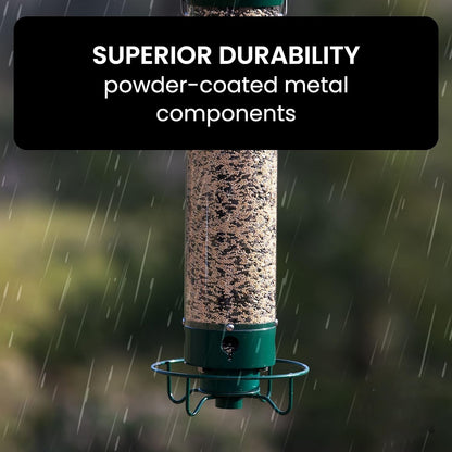 Belro squirrel-proof bird feeder hanging outdoors, designed to prevent squirrel access and attract various bird species