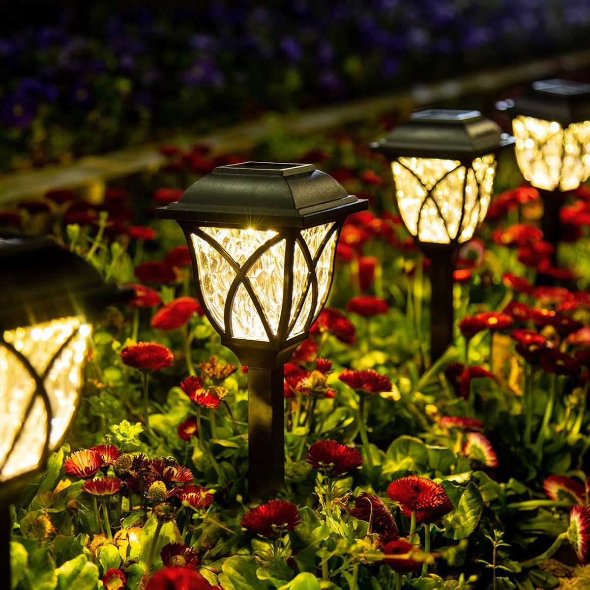Six Belro LED solar pathway garden lights installed outdoors in a garden, illuminating the walkway at dusk.