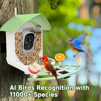 Belro Smart Bird Feeder Camera mounted outdoors, showcasing its compact design and trail camera features for wildlife monitoring.