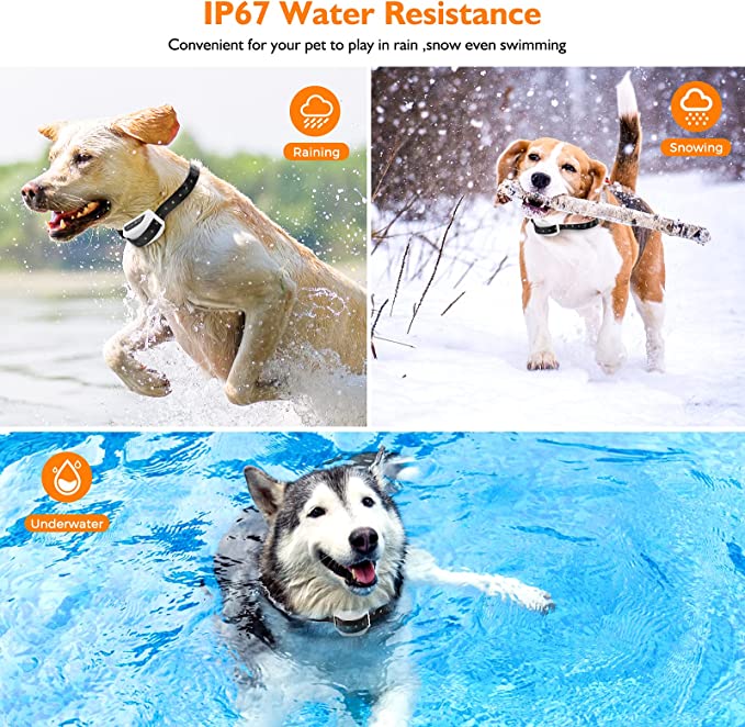 Wireless dog fence by Belro with collar, showing the electronic system and collar device used for pet containment.