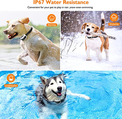 Wireless dog fence by Belro with collar, showing the electronic system and collar device used for pet containment.