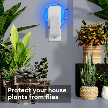 Belro indoor fly trap device, an electronic insect trap with a sleek design for effective fly control in homes.