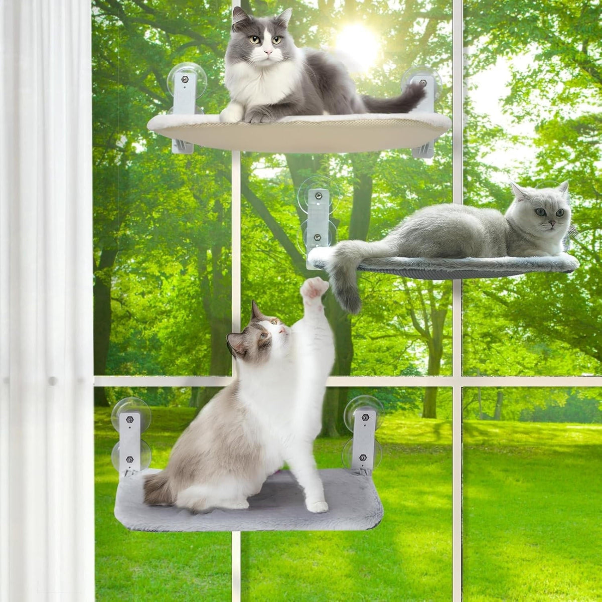 Belro cat hammock window perch attached to a home window, providing a cozy resting spot for cats in a home and garden setting.