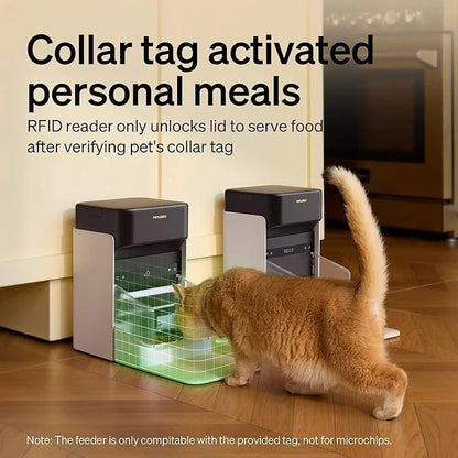 Casavibeo PETLIBRO RFID automatic cat feeder with collar tag, Wi-Fi, and cat recognition for personalized meals and diet tracking.