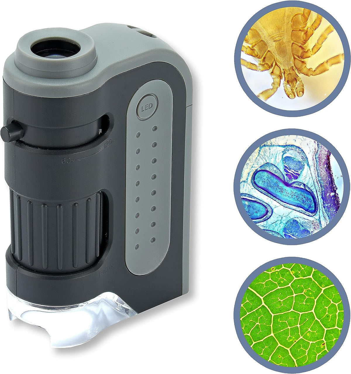 Belro portable handheld pocket microscope with optical lenses, compact design, and digital focus for detailed close-up viewing.