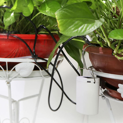 Belro Smart Garden auto watering system for outdoor plants, featuring hoses and timers for healthy plant growth.