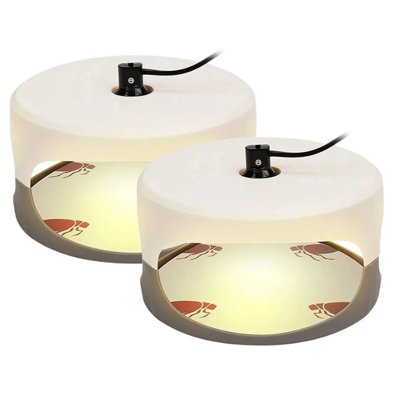 Belro indoor bed bug trap placed on a bedroom floor to monitor and control bed bug infestations.