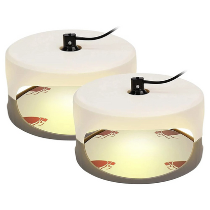 Belro indoor bed bug trap placed on a bedroom floor to monitor and control bed bug infestations.