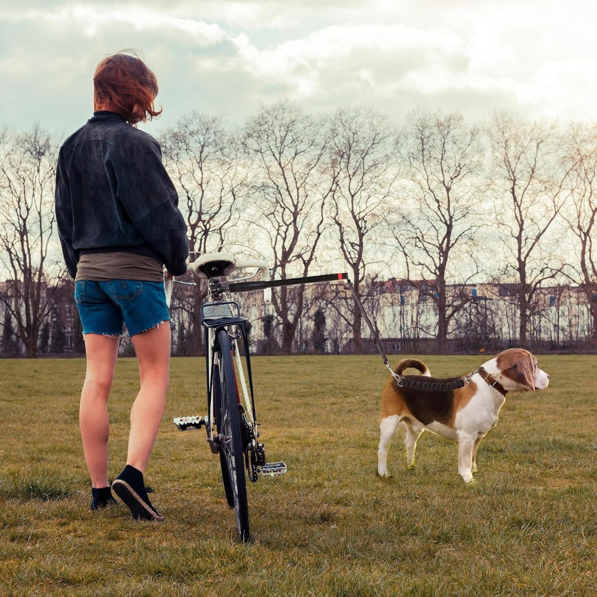 Belro Bike Dog Tow Leash attached to a dog collar, designed for hands-free walking and biking with pets.