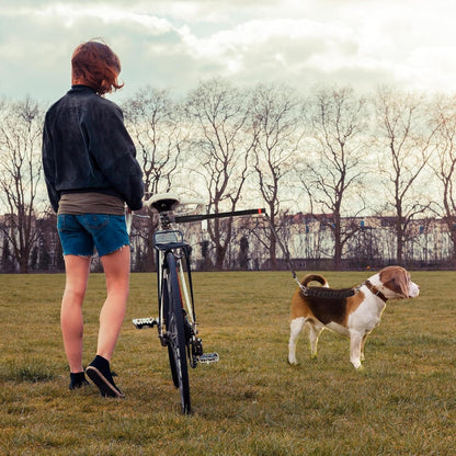 Belro Bike Dog Tow Leash attached to a dog collar, designed for hands-free walking and biking with pets.