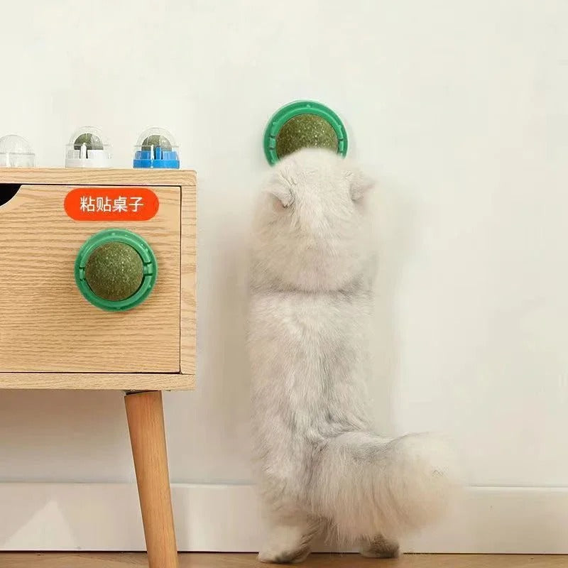 Four Belro premium catnip ball toys for cats, showing colorful fuzzy balls designed for feline play and entertainment.