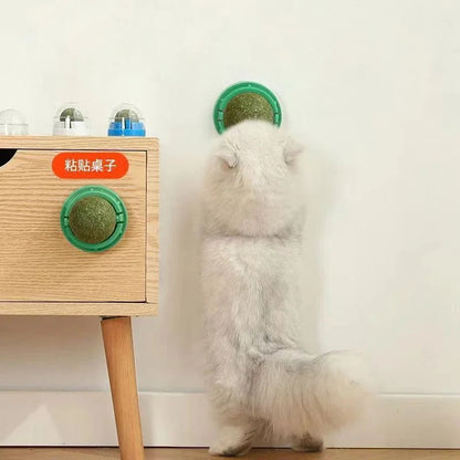 Four Belro premium catnip ball toys for cats, showing colorful fuzzy balls designed for feline play and entertainment.