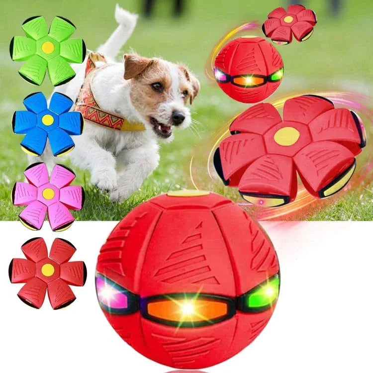 Belro Flying Saucer Ball dog toy with colorful, durable design for pets; ideal for playful outdoor and indoor fun.