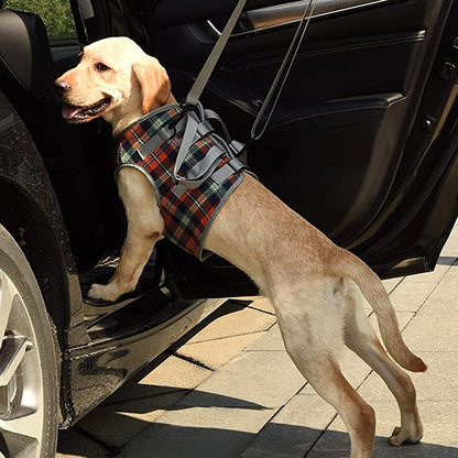 Mivoza orthopedic dog harness with adjustable straps, breathable fabric, and support for front and rear legs in pet mobility care.