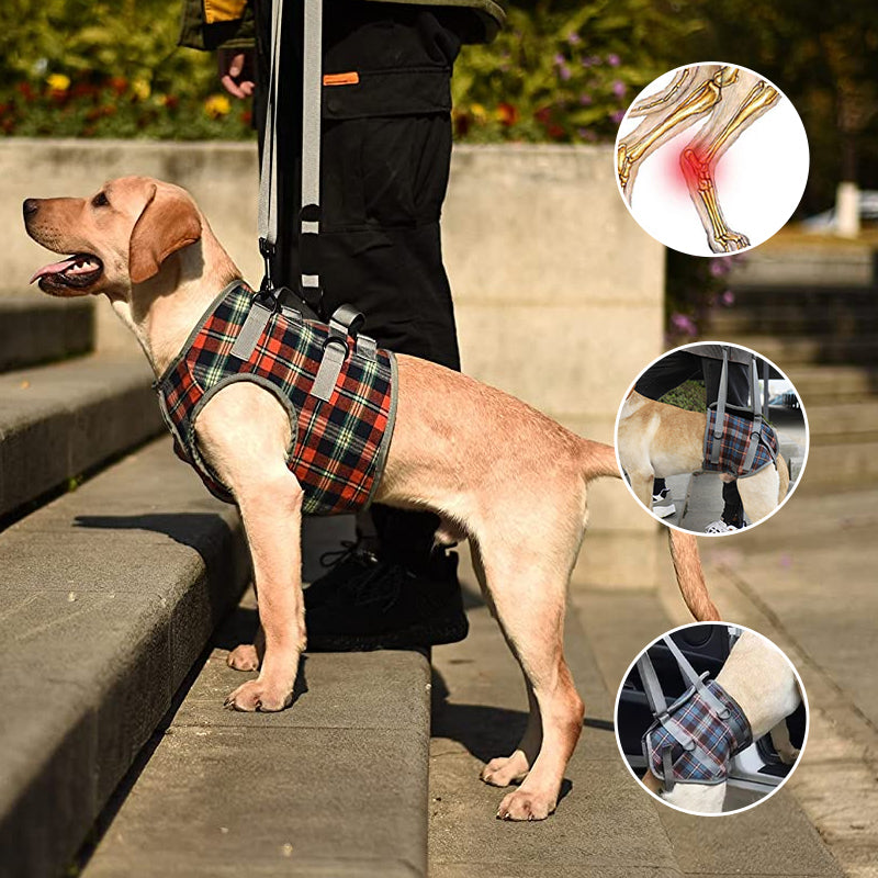 Mivoza orthopedic dog harness with rear and front leg support, adjustable and breathable for pet mobility and comfort.