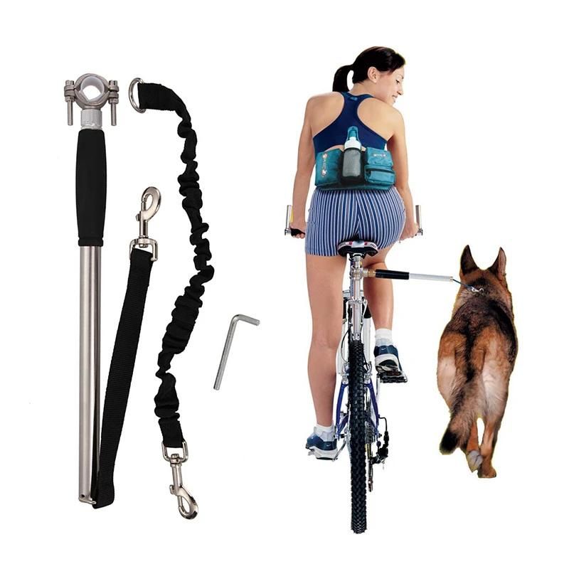 Belro dog bike harness attached to a small dog, adjustable pet harness for cycling safety and comfort.