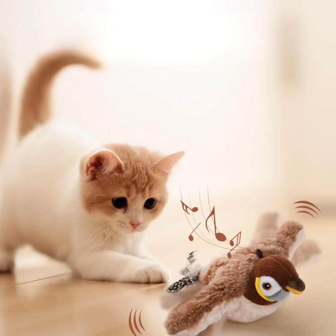 Belro Fluttering Bird Cat Toy with colorful feathers and dangling string for interactive feline play and entertainment.