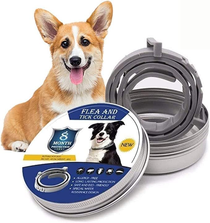 Belro tick and flea protection collar for pets, showing the collar with adjustable strap and safety buckle.