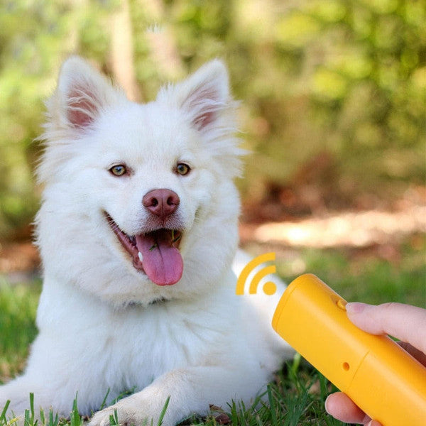 Belro anti-bark box for dogs, a compact pet training device with a sleek design, used to reduce excessive barking.