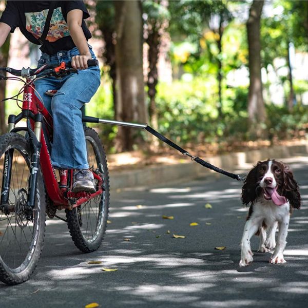 Belro dog bike harness with adjustable straps and secure buckles, designed for comfortable bike rides with pets.