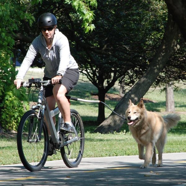 Belro dog bike harness with adjustable straps and quick-release buckle for secure outdoor walking and cycling with pets.