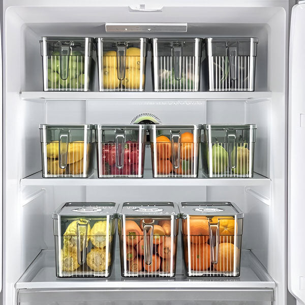 Belro Perfect Refrigerator Box for food storage, showing clear plastic container with lid, ideal for organizing kitchen refrigerator.