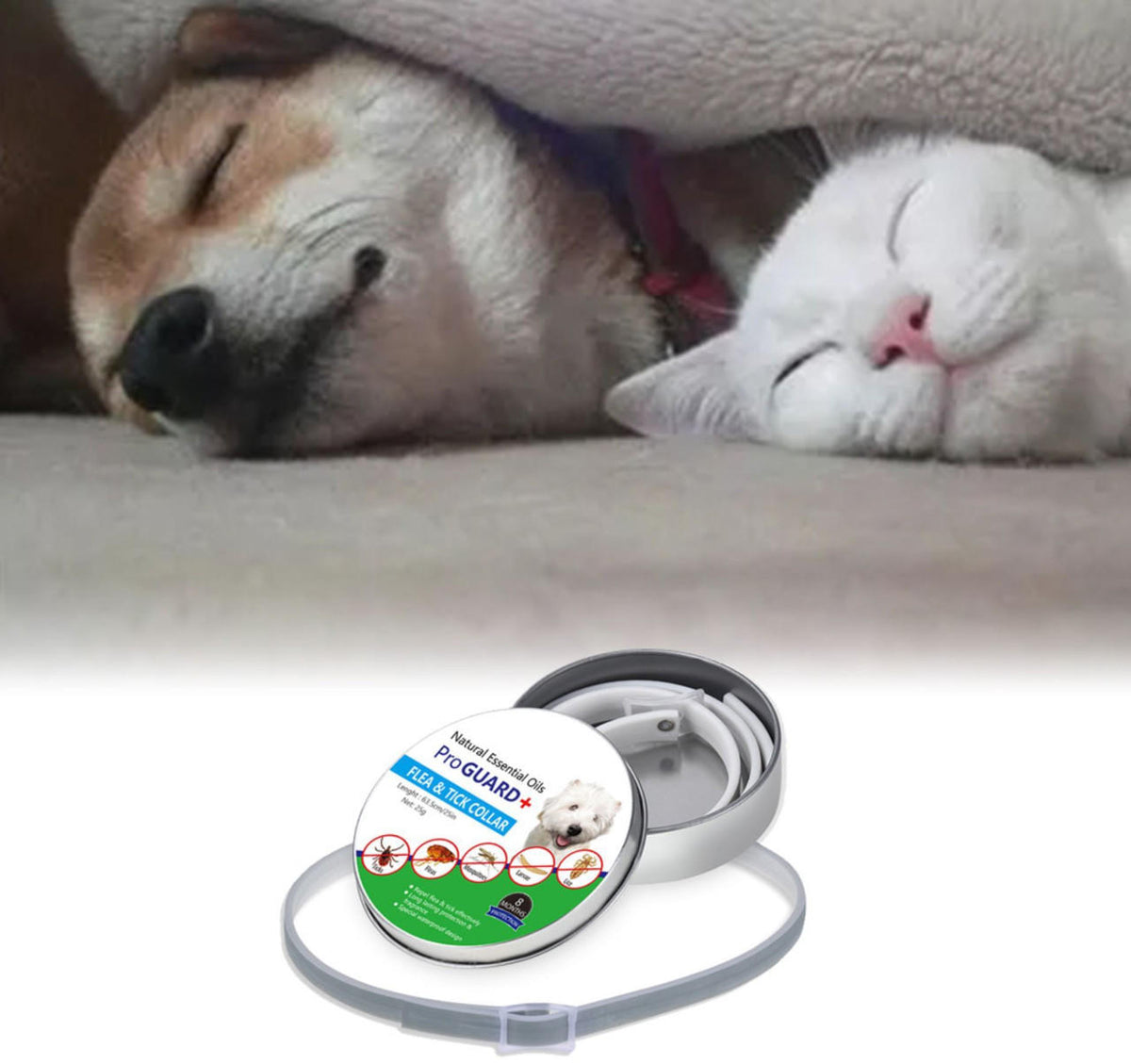 Belro dog pest collar for dogs, showing a close-up of the collar with adjustable strap and pest-repellent features.