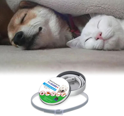 Belro dog pest collar for dogs, showing a close-up of the collar with adjustable strap and pest-repellent features.
