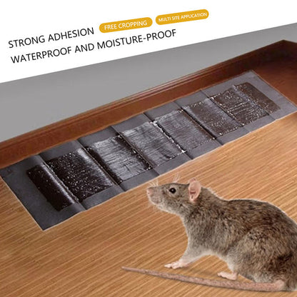 Belro 5 extra-large glue pads for mice and rats, pest control traps, showing the sticky adhesive surface on a white background.