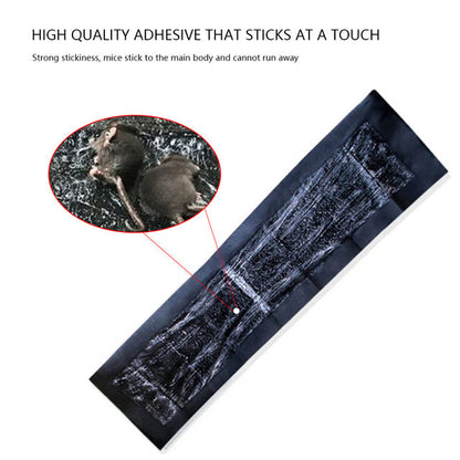 Belro extra-large glue pads for mice and rats, pest control solution, shown with adhesive surface ready for trapping pests.