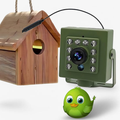 Belro 1080p HD weatherproof wildlife trail camera with night vision and motion detection in outdoor setting