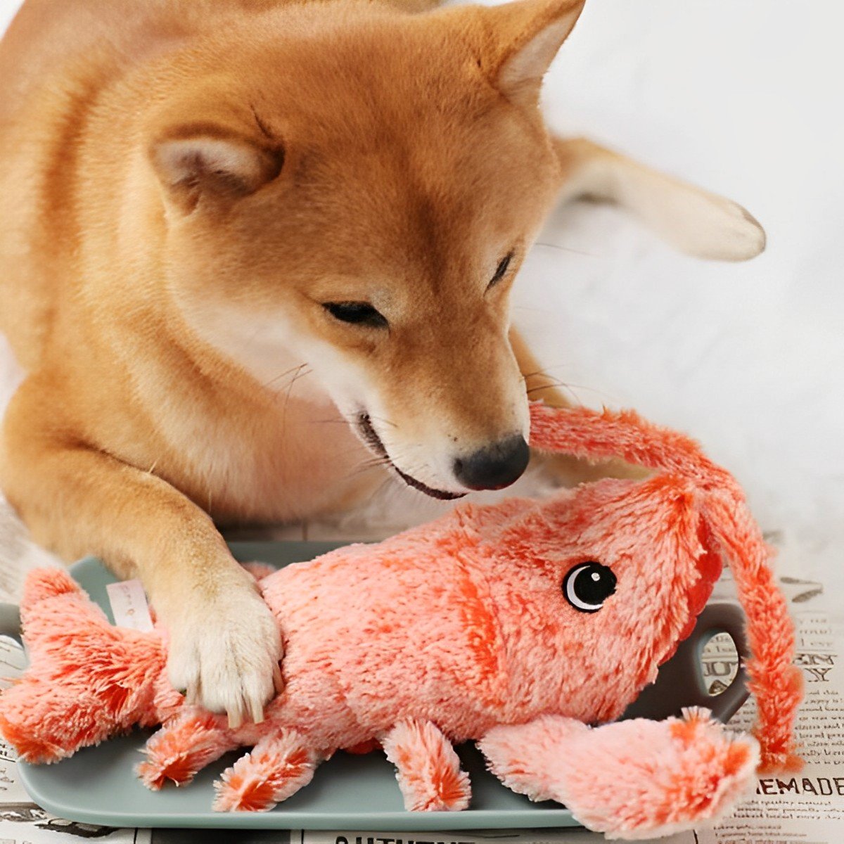 Belro Floppy Lobster plush interactive dog toy with moving, jumping features, designed for pet play and entertainment.