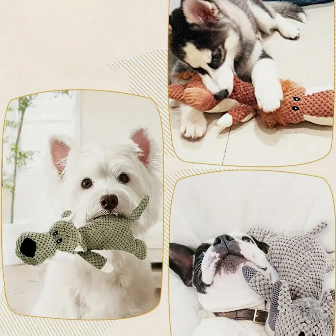 Durable Belro dog toy, a colorful rubber chew toy for dogs, designed for fun and long-lasting play.