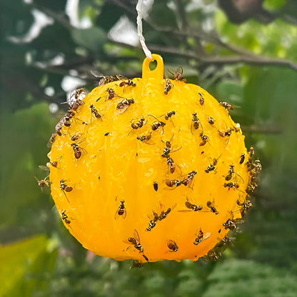 Six Belro hanging fly traps with adhesive layers for outdoor pest control, featuring transparent design and sticky surface.