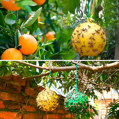 Six Belro hanging fly traps with adhesive layers for outdoor pest control in home and garden settings.