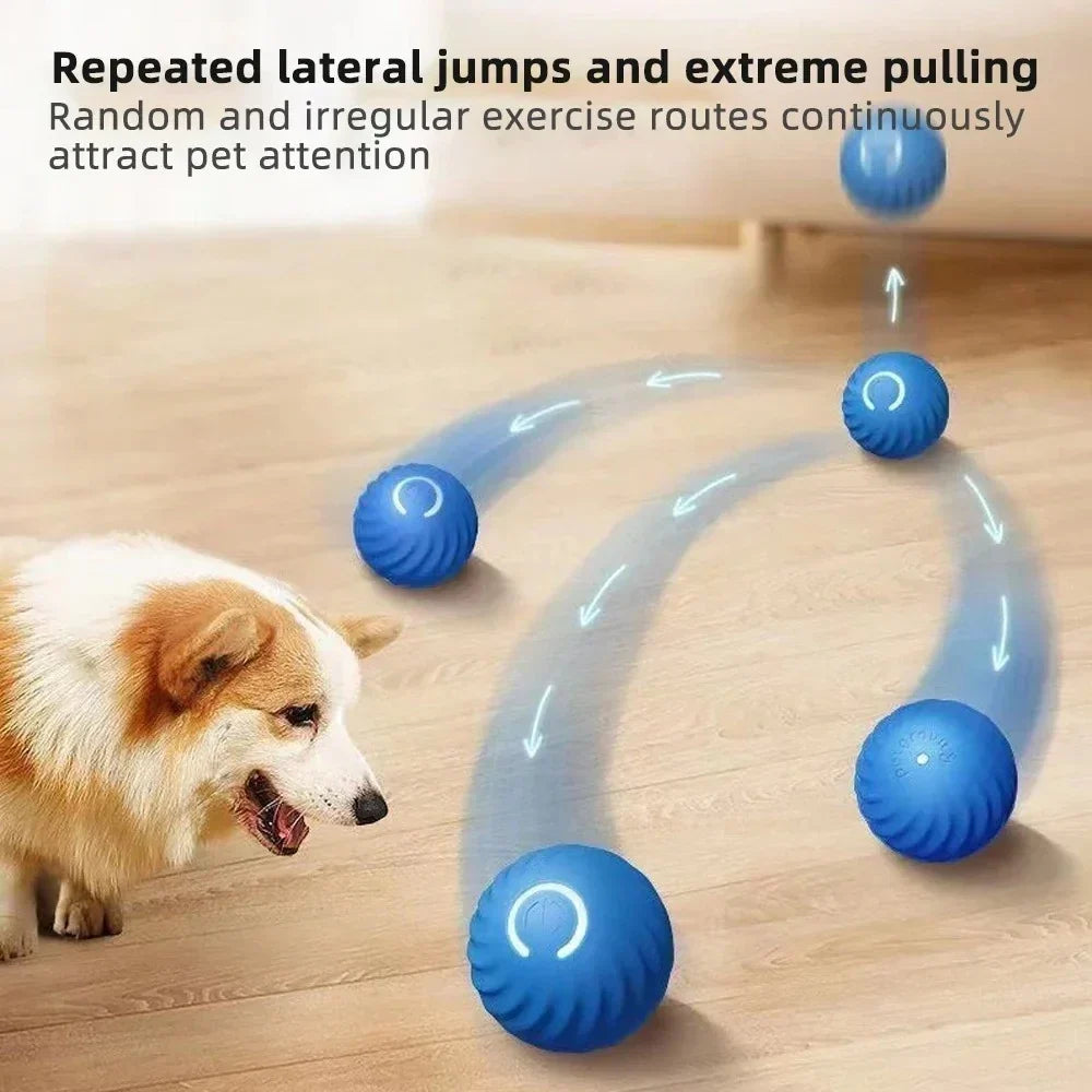 Belro Active Rolling Ball cat toy, an automatic moving ball designed to entertain and reduce anxiety in cats.