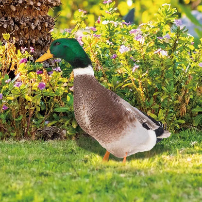 Belro outdoor duck decoration, designed as a clothing accessory for men, featuring a playful duck motif and detailed craftsmanship.