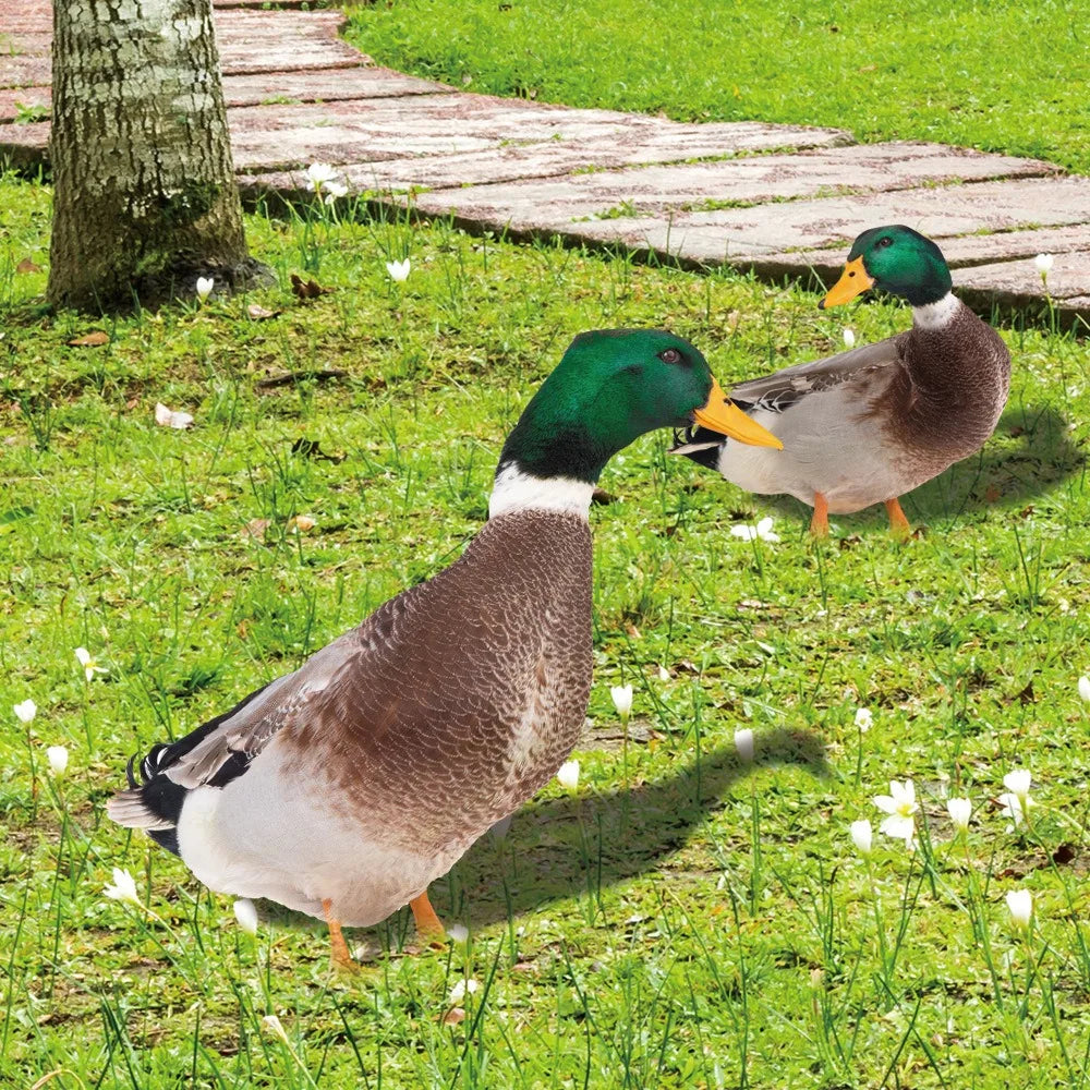 Belro outdoor duck decoration for men's clothing, featuring a colorful duck figure suitable for outdoor decor or fashion accessories.