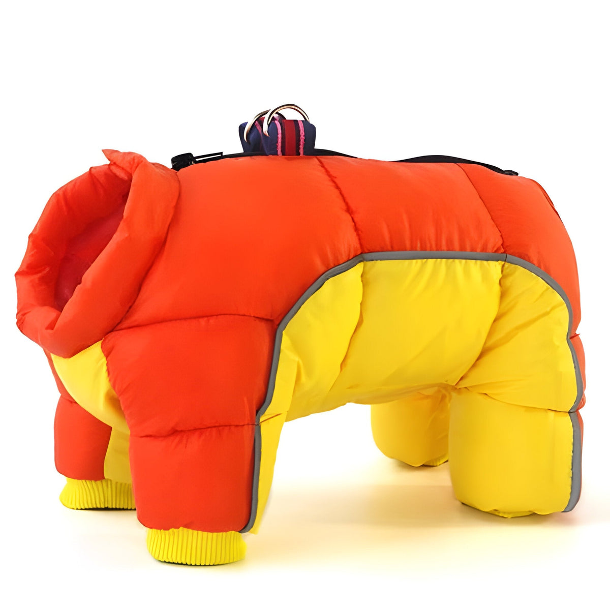 Belro water-resistant dog parka with hood, lightweight jacket designed for outdoor walks in wet weather.