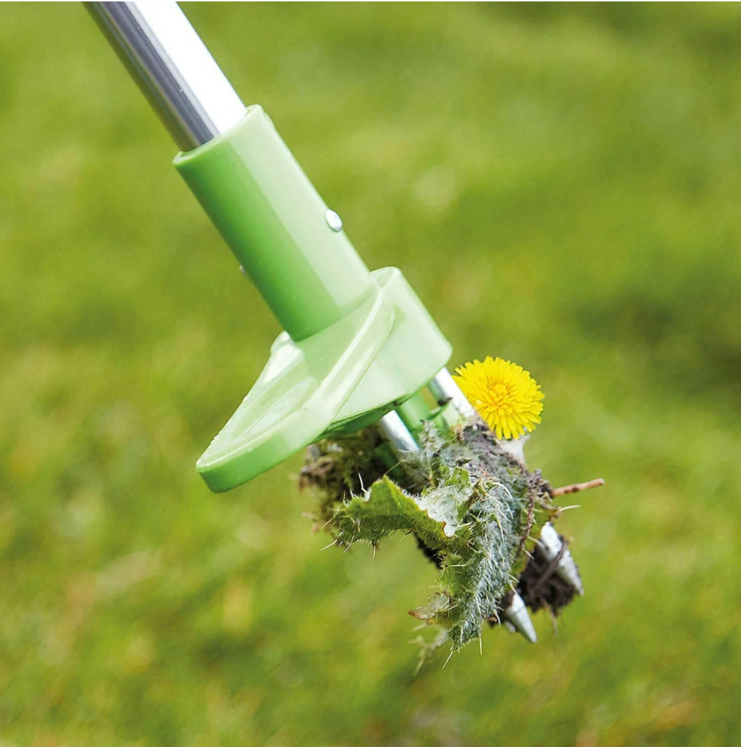 Belro weed puller garden tool for removing grass and roots, with a sturdy handle and sharp prongs for easy gardening.