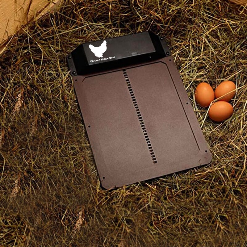 Belro automatic chicken coop door opener with light sensor, showing the electronic device installed on a chicken coop door.