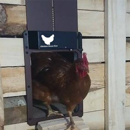 Belro automatic chicken coop door opener with light sensor, showing the electronic device installed in a chicken coop.