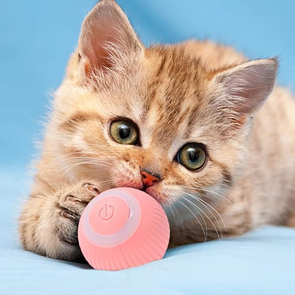 Belro interactive play ball for cats, colorful pet toy designed to engage cats in active play and stimulate their senses.