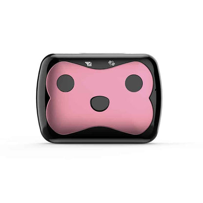 Belro GPS tracker for dogs attached to a dog collar, showcasing electronic device for pet location and navigation.