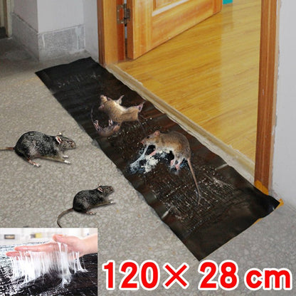 Large Belro non-toxic pest control trap for outdoor use, designed to effectively catch pests in the home and garden.