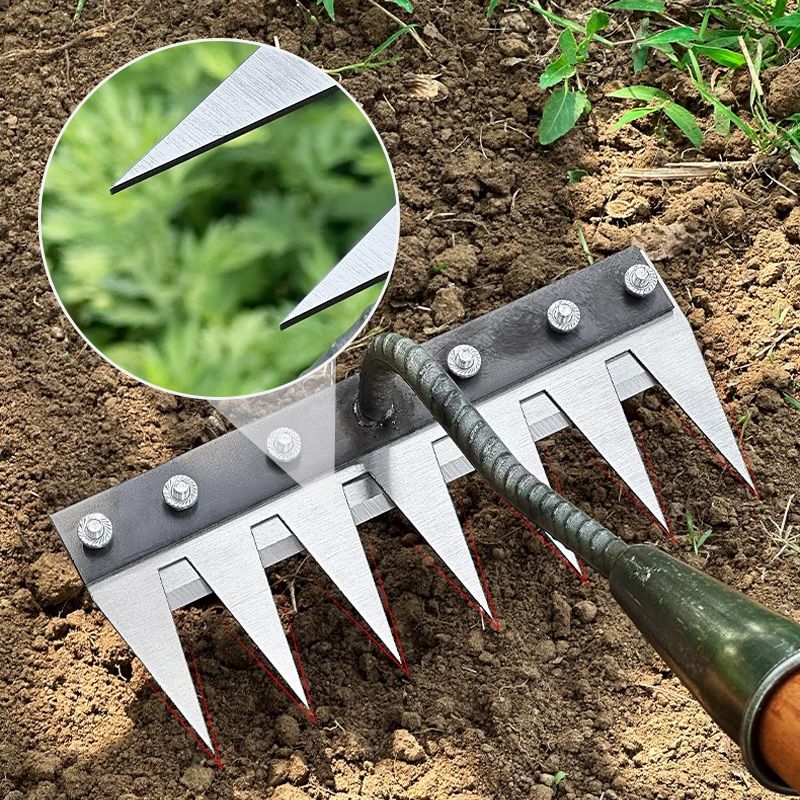 Belro versatile handle rake for lawn work, featuring a sturdy grip and wide tines for efficient outdoor garden clearing.