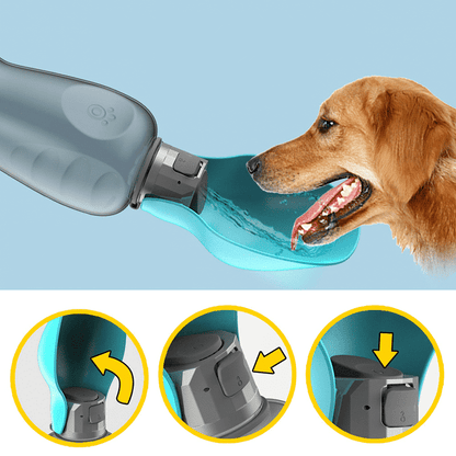 Belro travel water bottle for dogs with foldable leak-proof bowl and 27oz capacity, ideal for pet hydration on the go