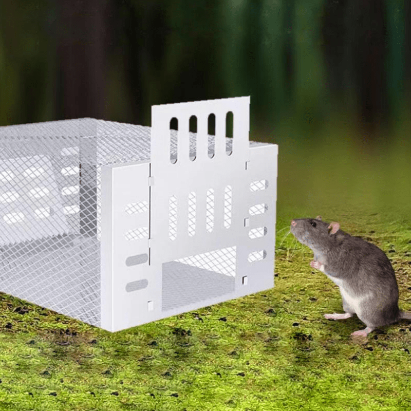 Belro human mouse trap with reusable, safe design for pest control in outdoor home and garden settings.