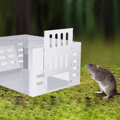 Belro human mouse trap with reusable, safe design for pest control in outdoor home and garden settings.