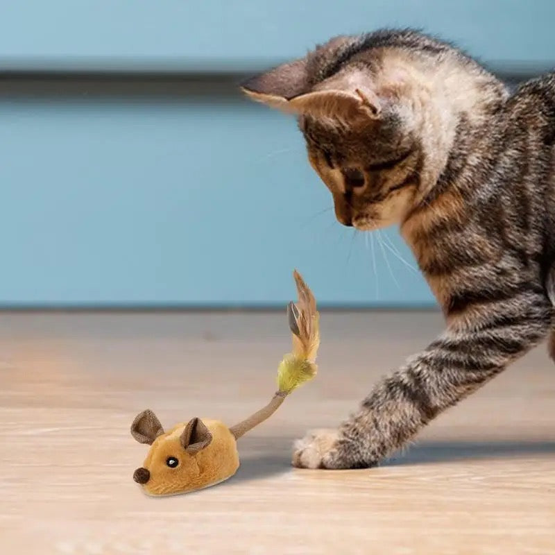 Belro intelligent mouse toy for cats, featuring realistic design and interactive features in a vibrant pet toy image